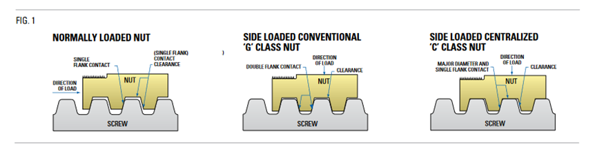 nut type examples